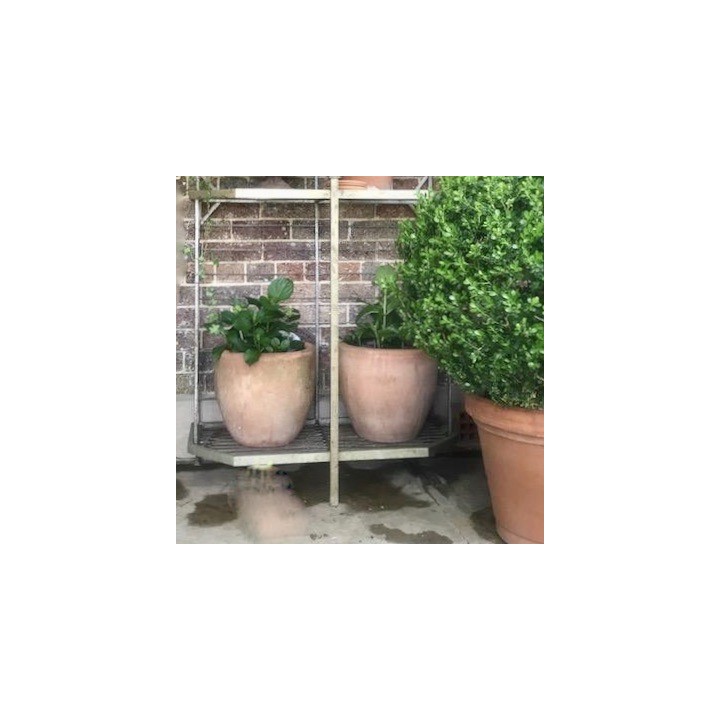 Vintage Pair of Terracotta Pots