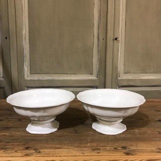 C1900 Comport Blanche