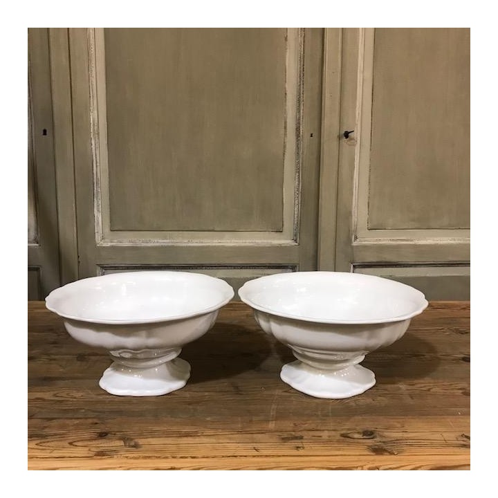 C1900 Comport Blanche