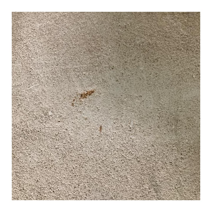 French Imported Lime Stone Fireplace