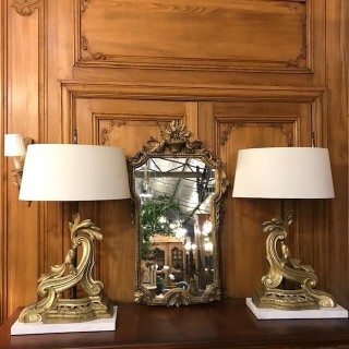 C19th French Pair of Brass Firedog Lamps