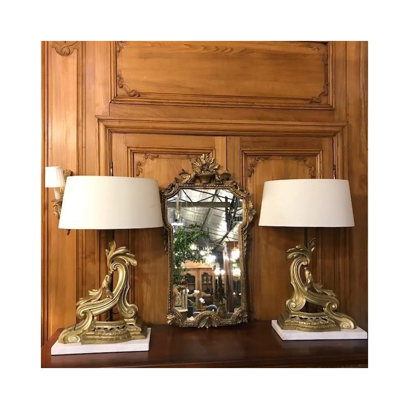 C19th French Pair of Brass Firedog Lamps