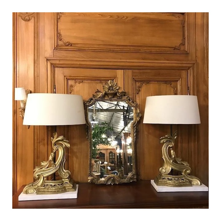 C19th French Pair of Brass Firedog Lamps