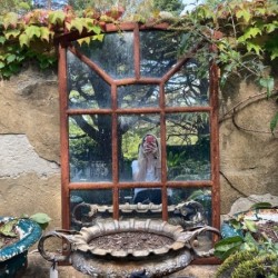 SOLD C19th French dome top...