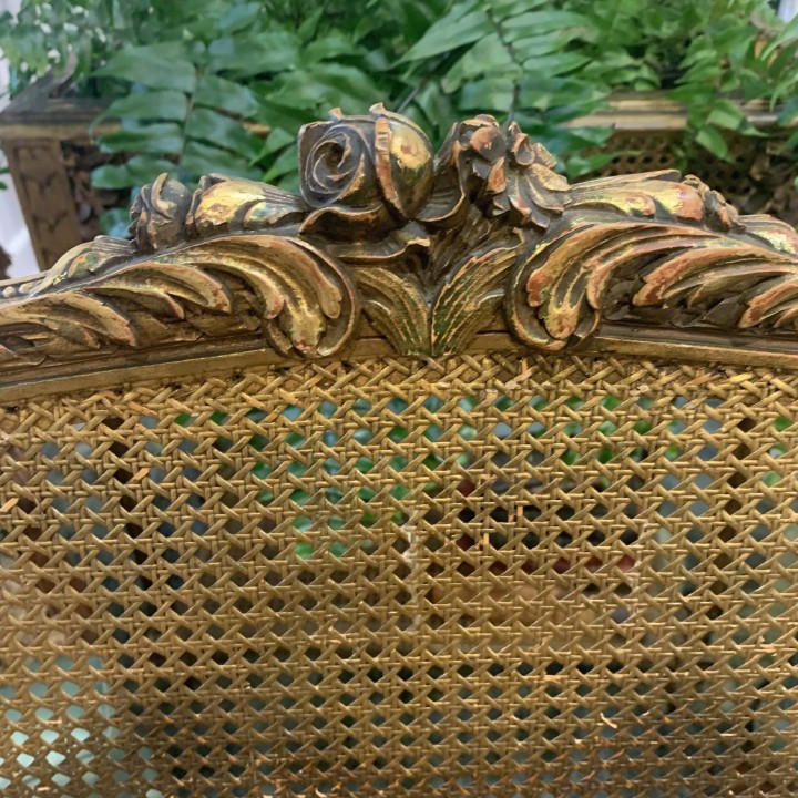 C19th Pair  Gilt wood and Cane Fauteuils Lois XVI Style