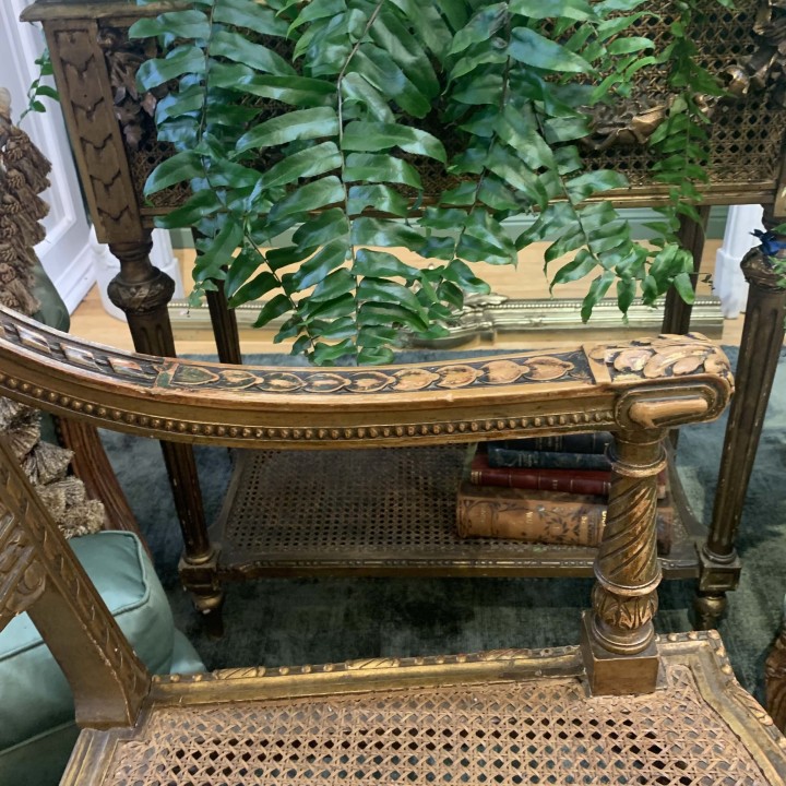 C19th Pair  Gilt wood and Cane Fauteuils Lois XVI Style